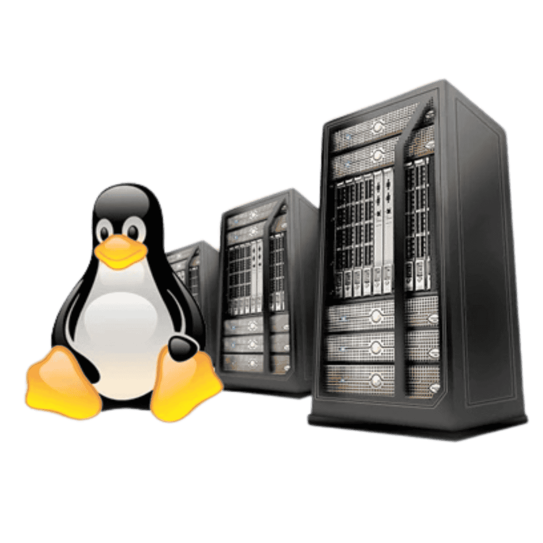 Linux vps hosting provider India